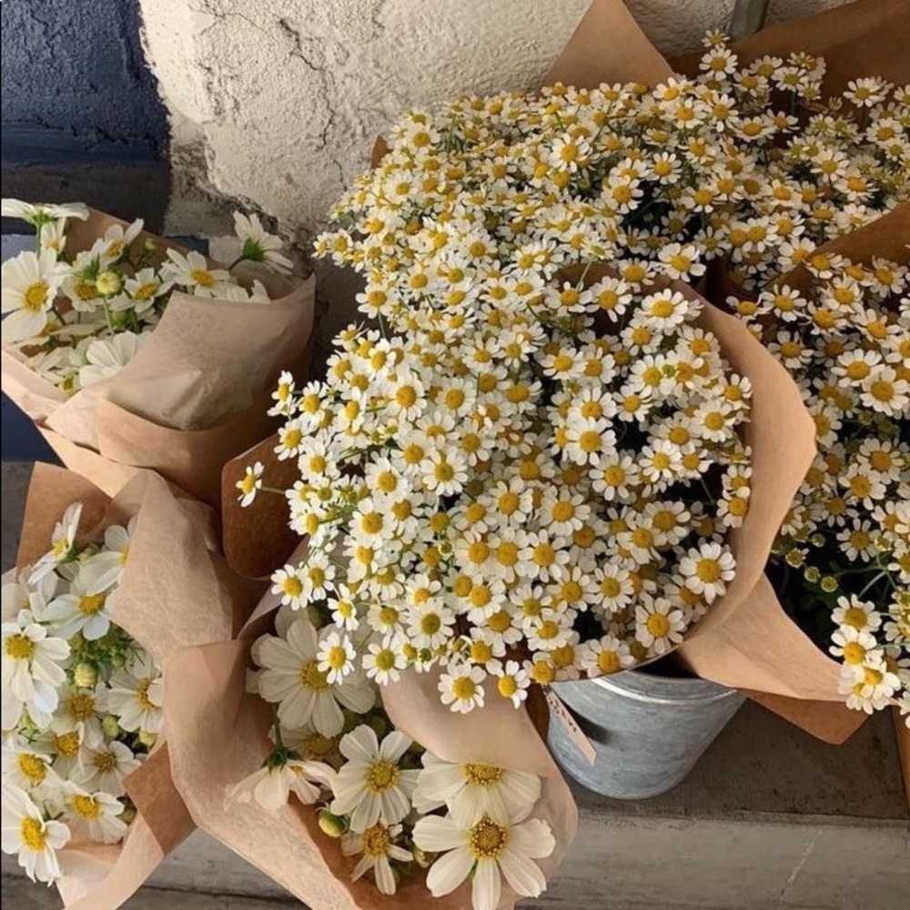 Meet your Posher, Adri